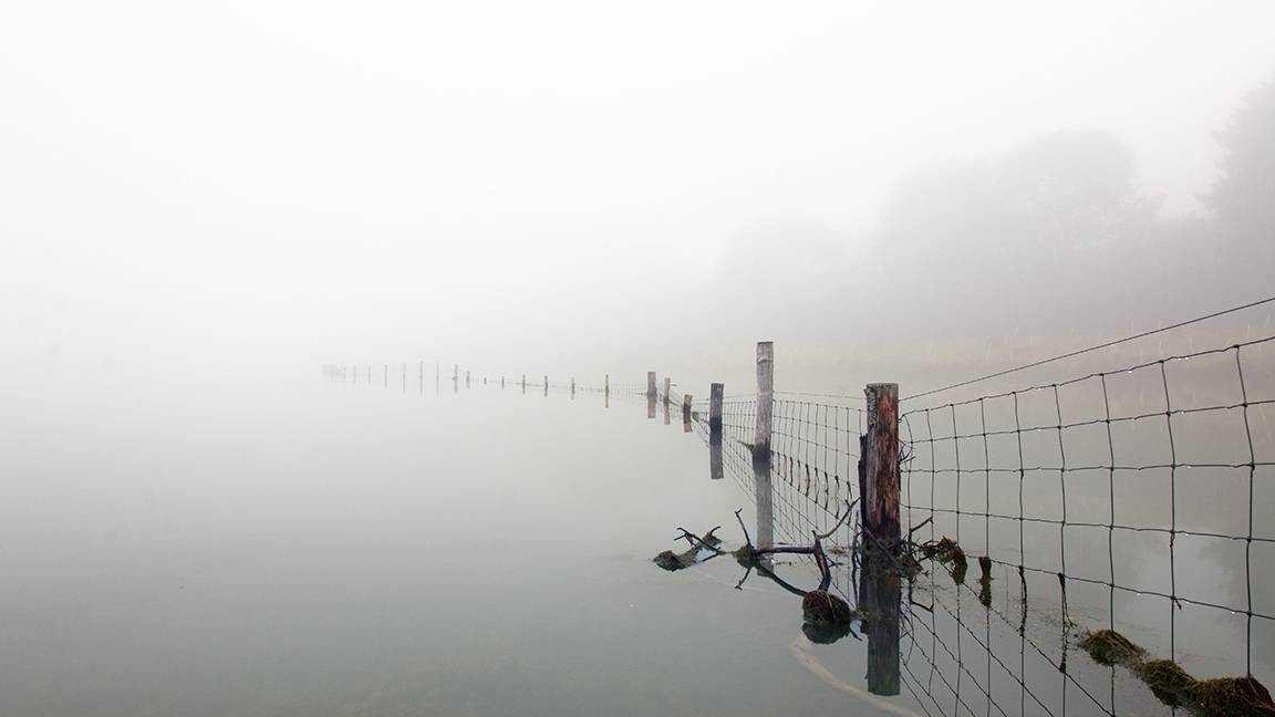 Woodsford, Dorset, Calm...