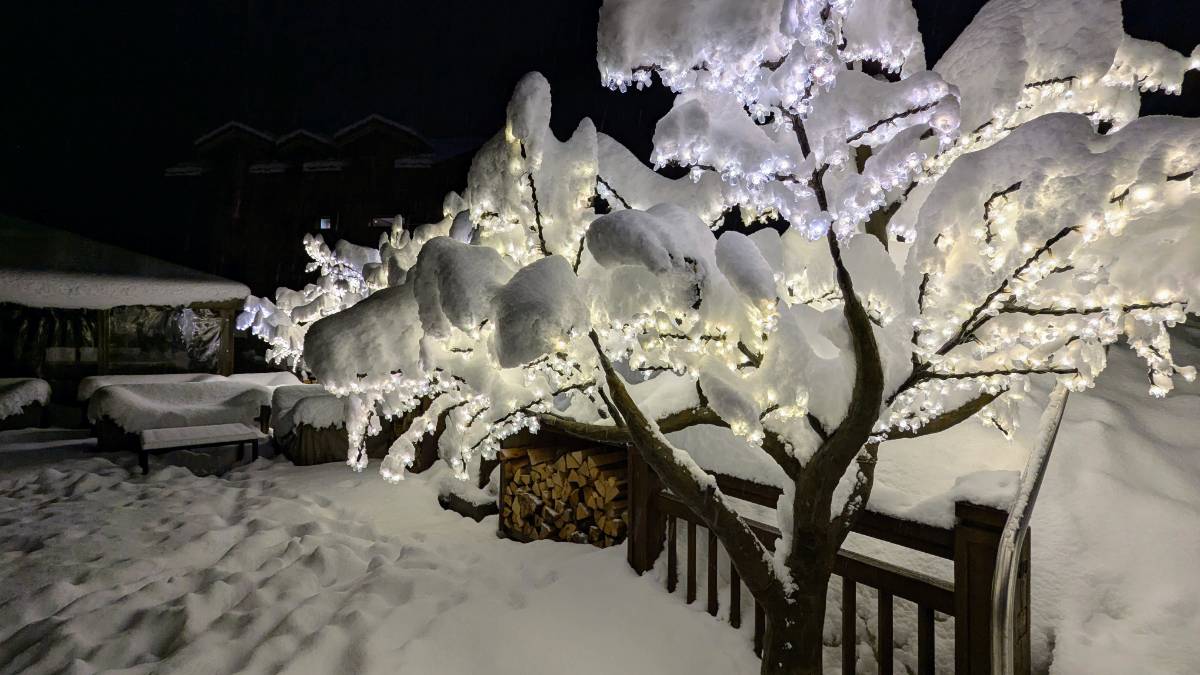 , , Christmas lights still on and covered in snow...