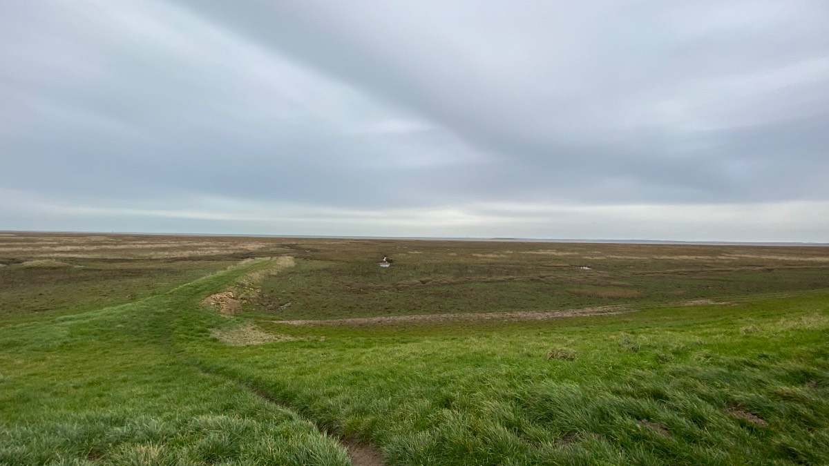 Gedney, Lincolnshire, The Wash Nature Reserve on a windy Sunday afternoon ...
