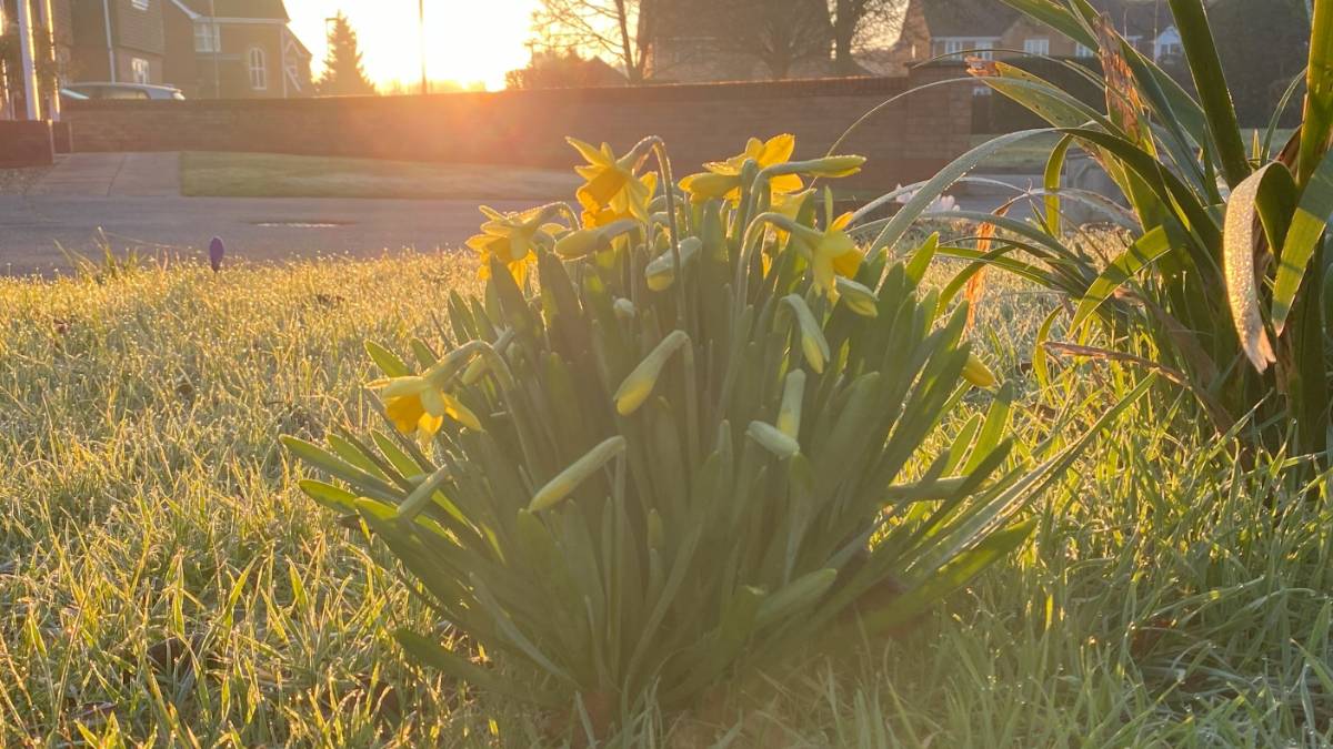 Spalding, Lincolnshire, Good morning Spring!...