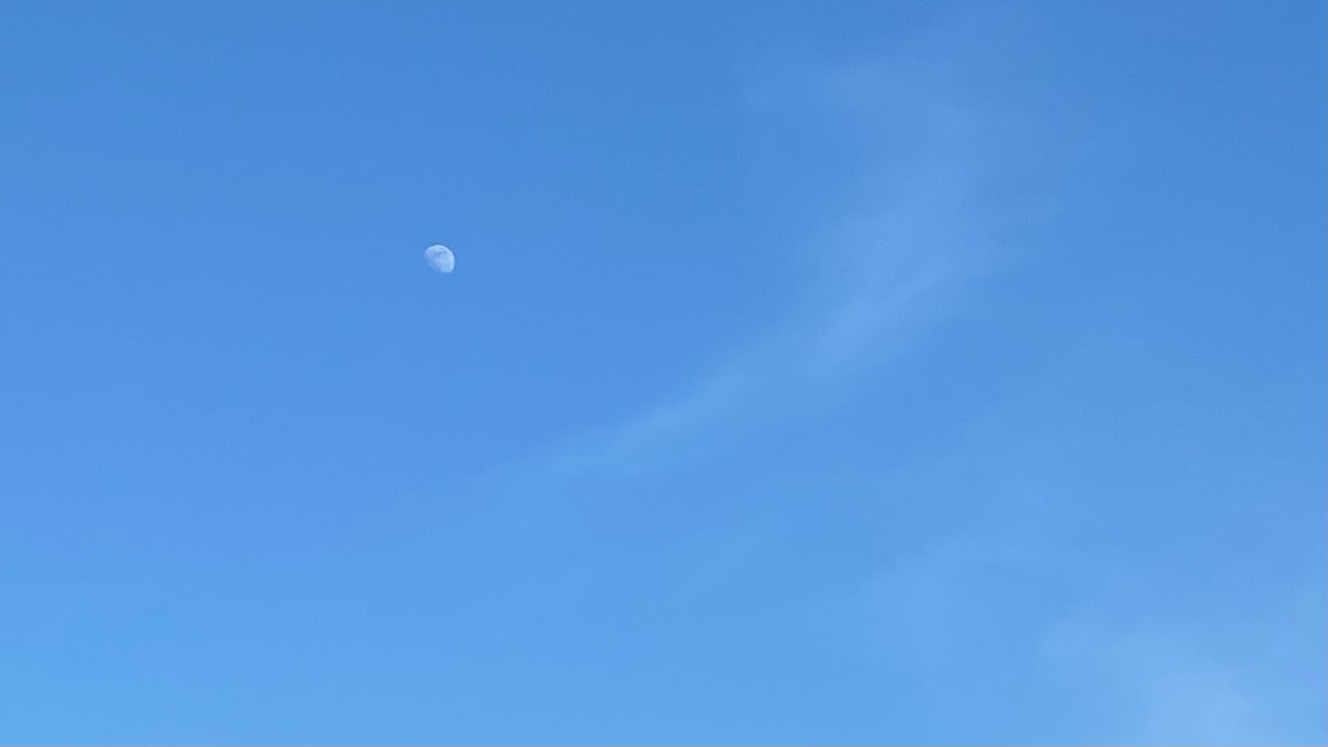 Gedney, Lincolnshire, Spring afternoon moon...