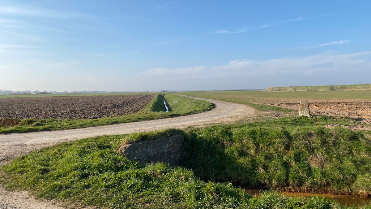 Gedney, Lincolnshire, Spring afternoon walk near the Wash marshes ...