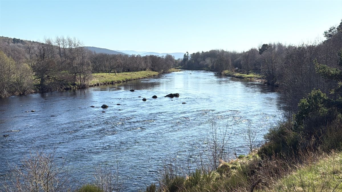 Grantown on Spey, Highlands, The River Spey looking very low - only 0 ft 5 ins above normal summer low l...