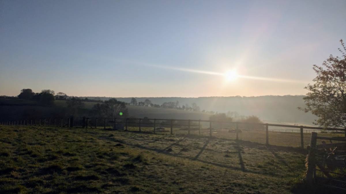 Berkhamsted, , The early bird catches the worm! Beautiful start to the day....