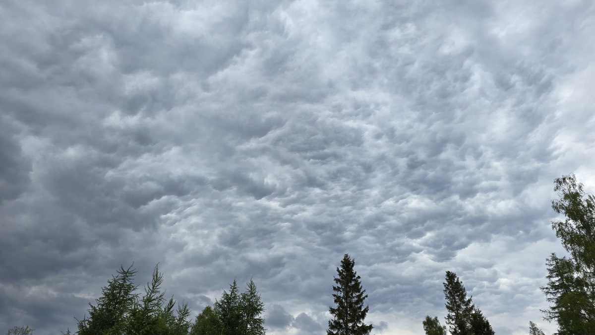 Nice clouds. Posted by Dizzy Daff