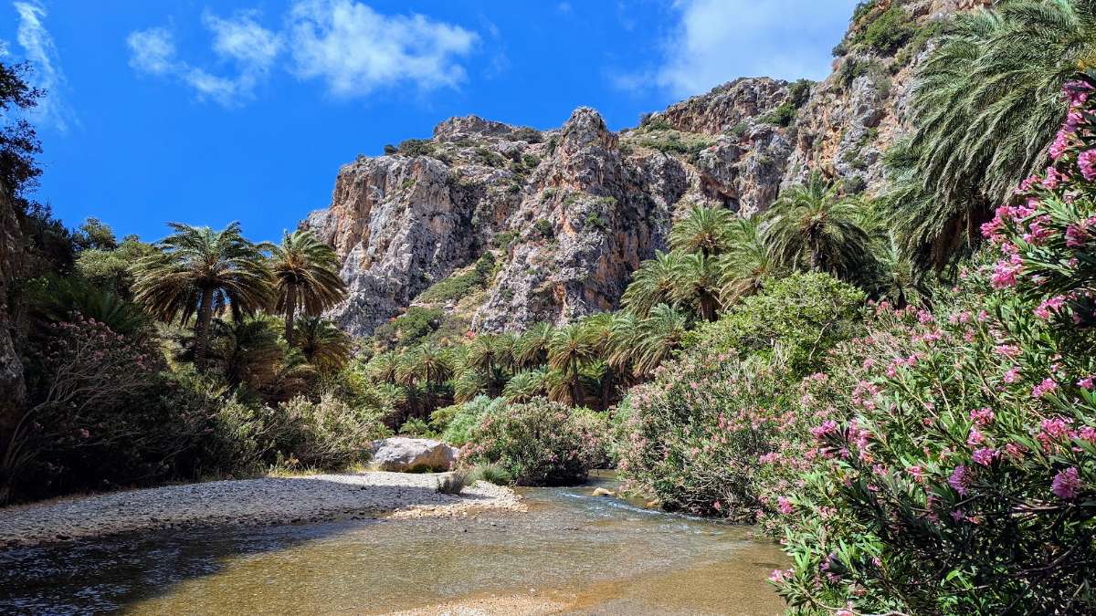 Crete, Crete, Preveli Palm Forest
...