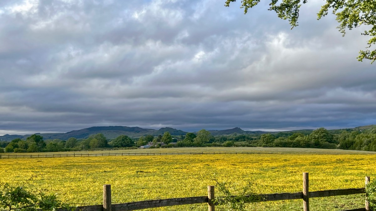 Leek, Staffordshire, Warm and humid after heavy showers earlier....