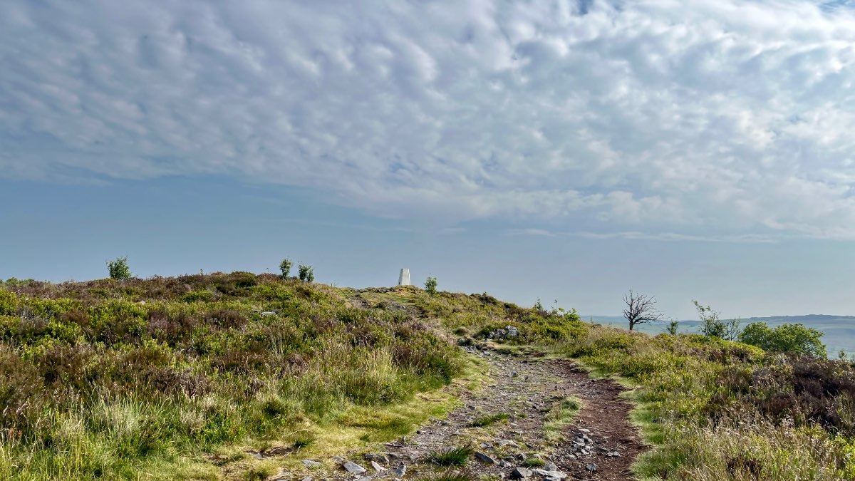 Leek, Staffordshire, Fine warm morning on Gun Moor....