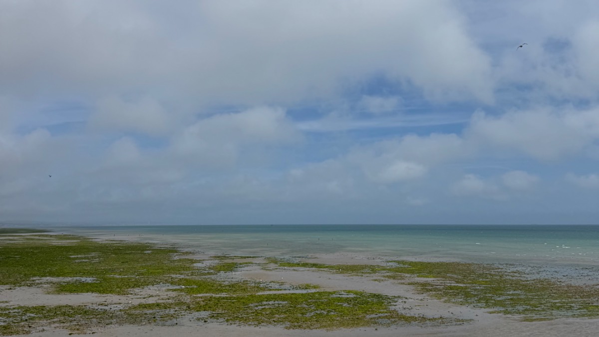 Worthing, , What a difference a day makes. Barely 20C and a blustery wind at Worthing b...