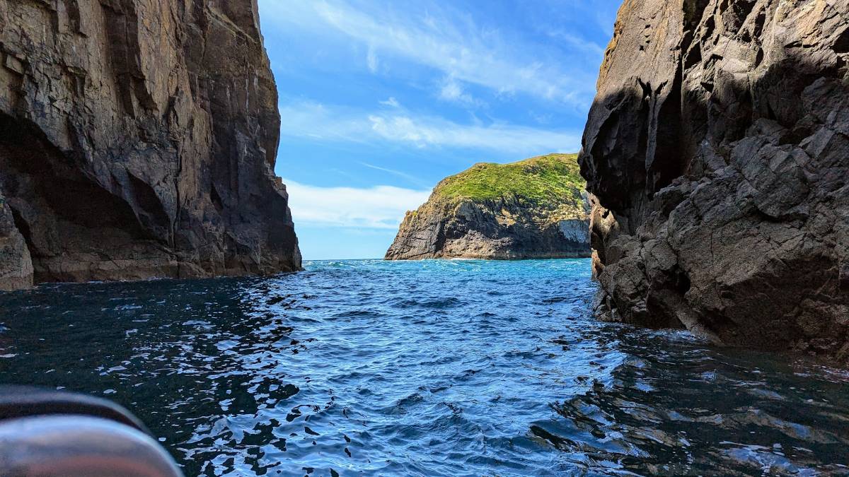, Pembrokeshire, Fine weather for a boat trip to Ramsey Island...