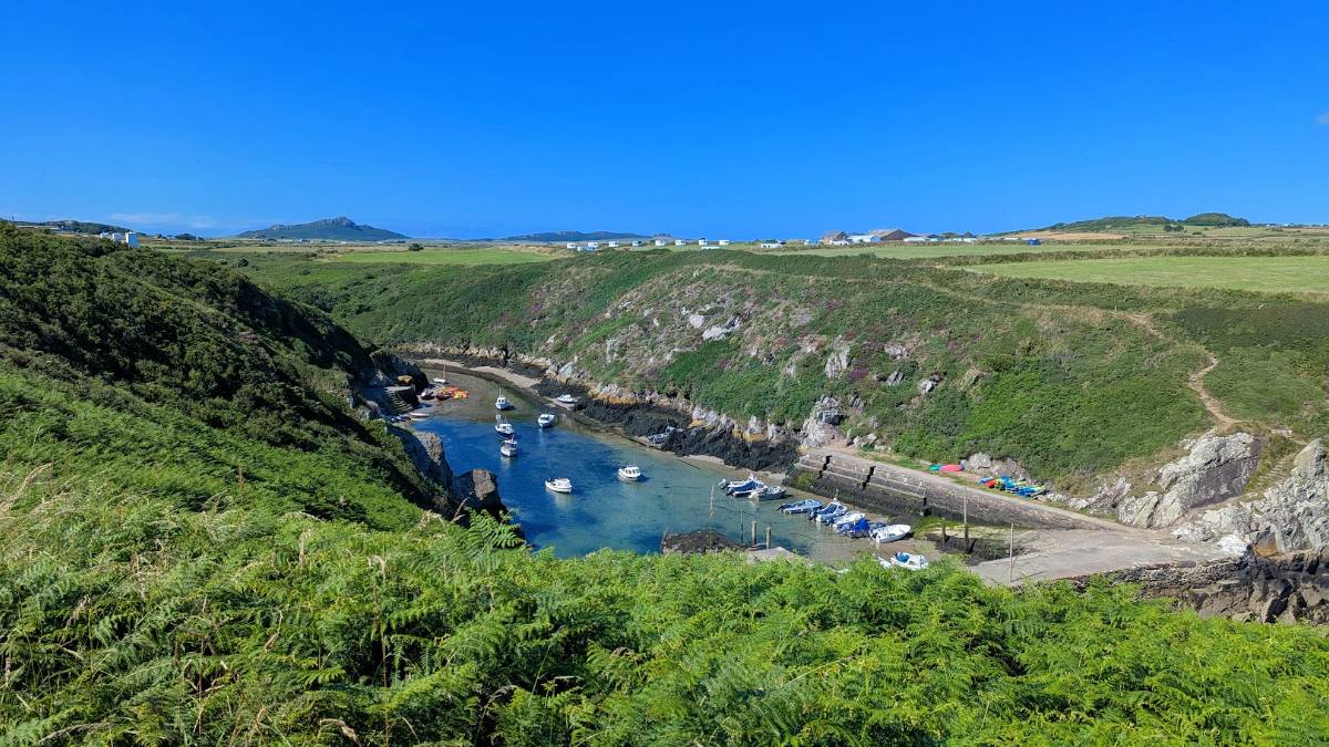 St Davids, Pembrokeshire, Near St Davids...