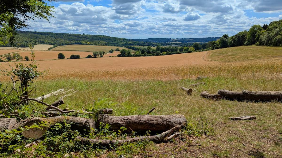 Wendover, Bucks, Fine summer weather in the Chilterns...