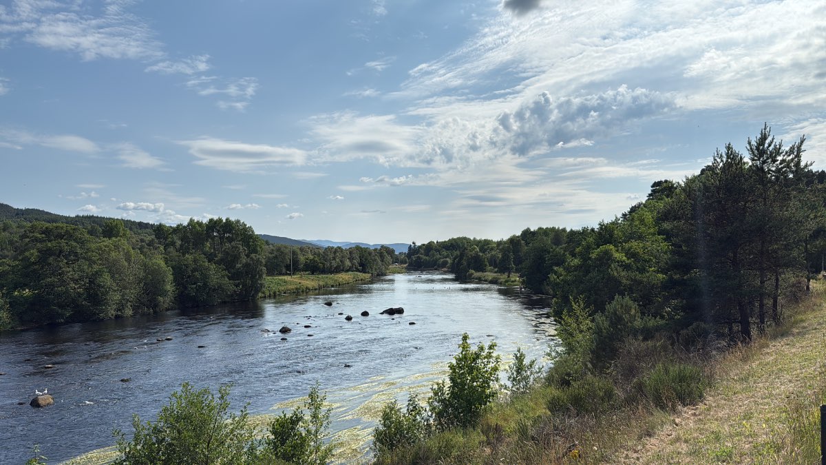 Grantown on Spey, Highlands, The River Spey level is extremely low. Lots of kids at the ‘bathing pool’!...