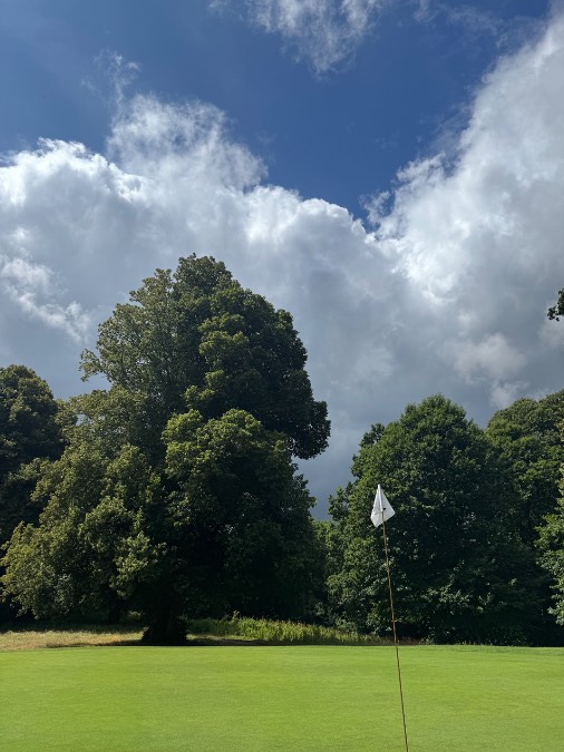 , , Brilliant sunshine but rain and thunder imminent, Cowdray Park Golf Club...