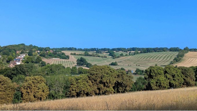 Chiltern landscape. Posted by Brian Gaze