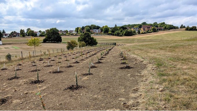 Exceptionally dry late summer conditions in Berkhamsted. Posted by Brian Gaze