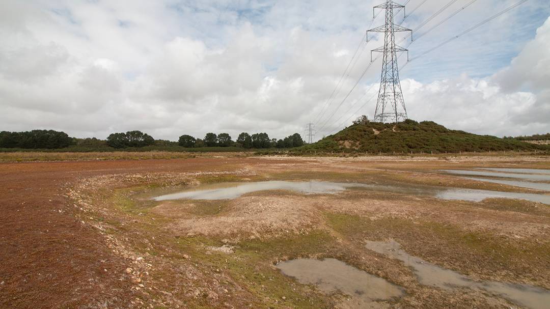 Dorchester, Dorset, Historic Drought, Silverlake Estate 26th August 2025...