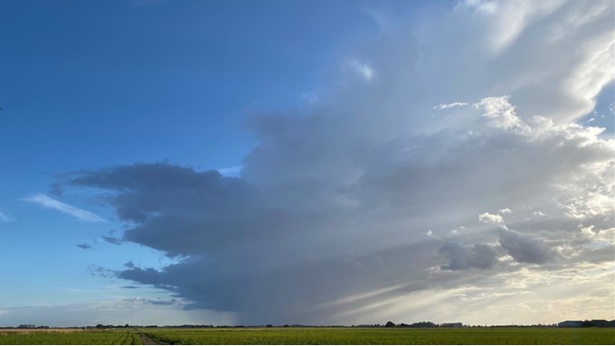 Showery weather incoming. Posted by Windy Willow
