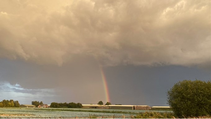SPALDING. Rainbow. Posted by Windy Willow