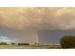 Cooler and showery conditions developing