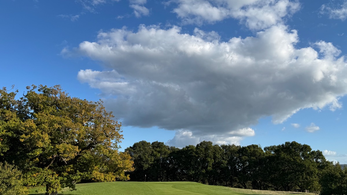 , , Autumn’s true splendour, Cowdray Park, Midhurst...