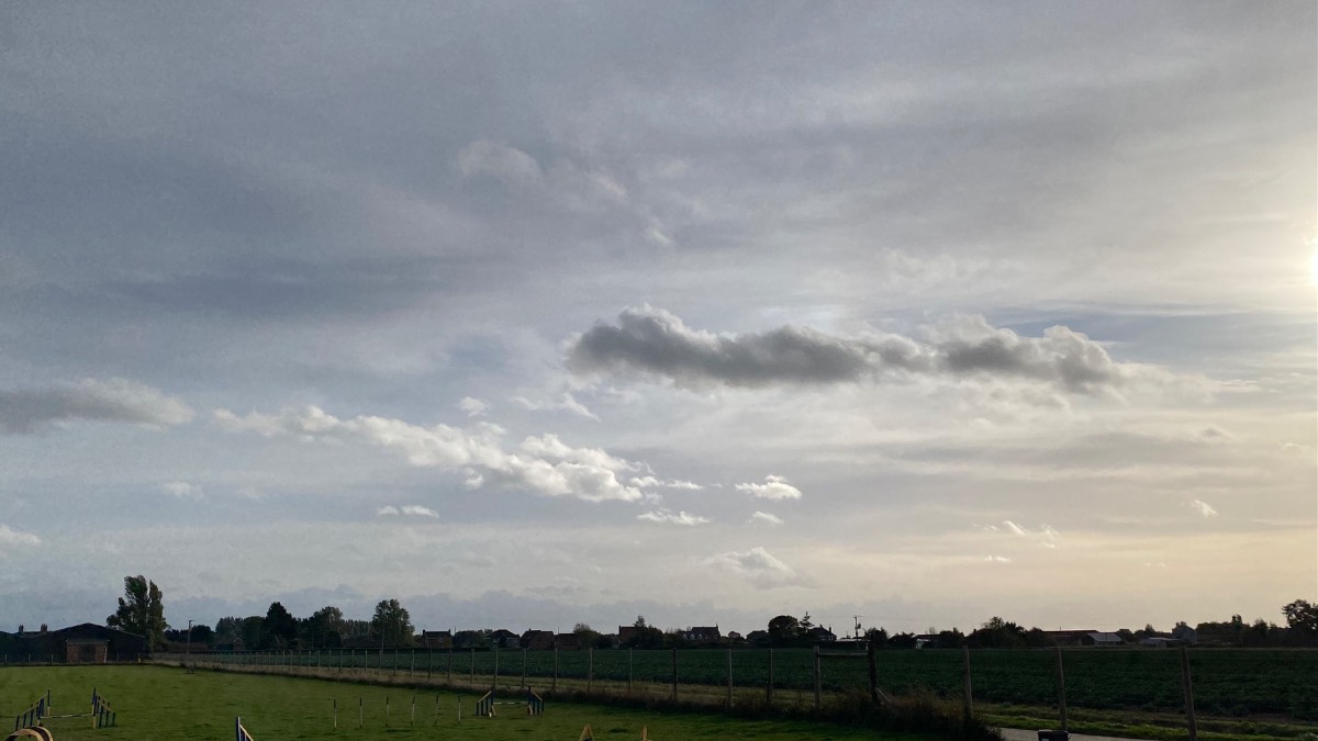 Spalding, Lincolnshire, Windy and wild Saturday afternoon ...