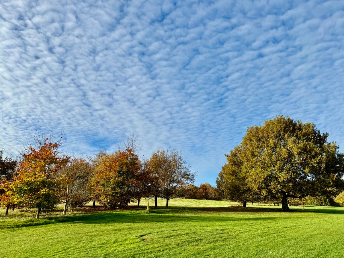 , , Autumnal splendour at Cowdray Park Golf Club...
