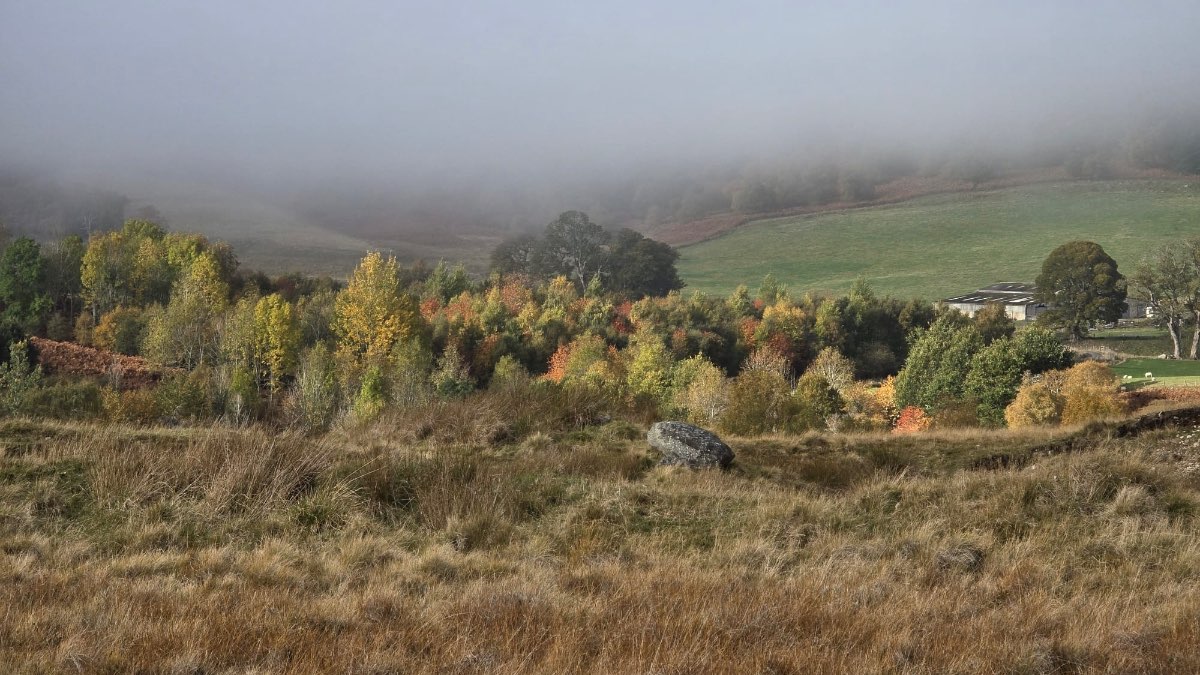 Grantown on Spey, Highlands, Low lying cloud on the hill this morning....