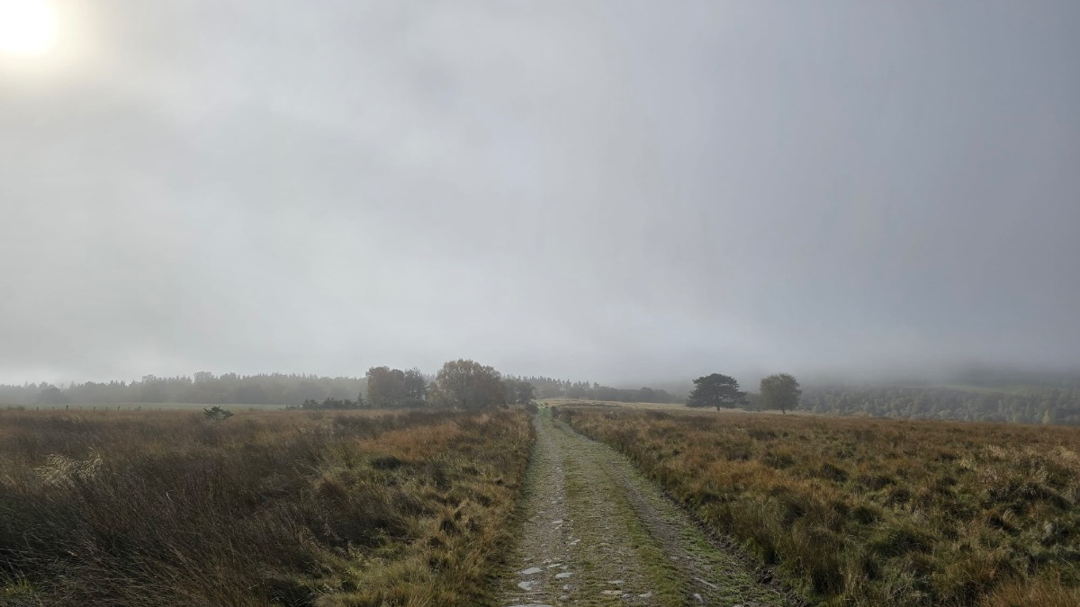Grantown on Spey, Highlands, Sun trying to get through the cloud this morning....