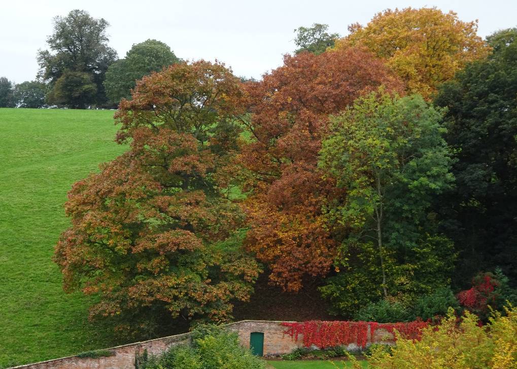 Banbury, Warks, Autumn colour, overlooking walled garden, Upton House, Nat Trust, 9th Oct '...