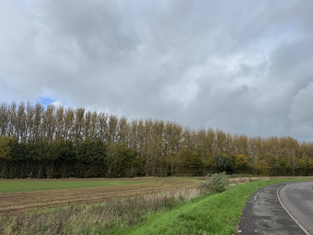 Arundel, West Sussex, Well and truly autumn now after a morning shower....