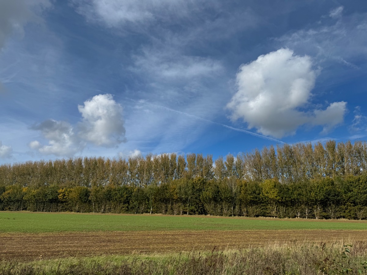 Arundel, West sussex, Beautiful autumn colour in both the trees and the sky...