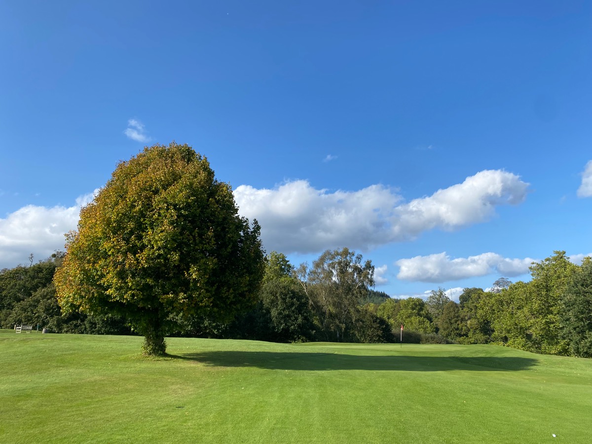 Midhurst, West Sussex, Halcyon conditions at Cowdray Park Golf Club ...