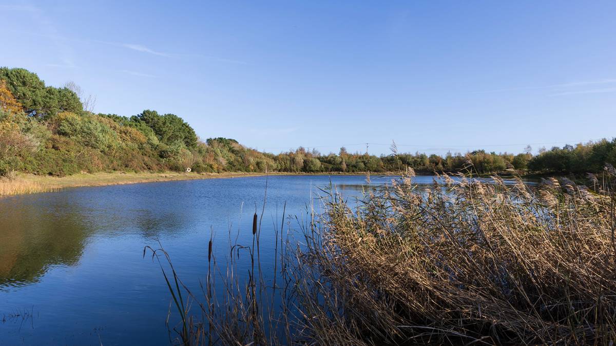 Dorchester, Dorset, Tranquil Day...