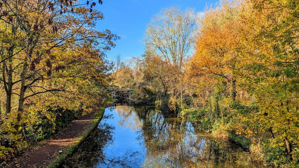 Berkhamsted, , The colours say it is autumn. The sun makes it feel like the summer....