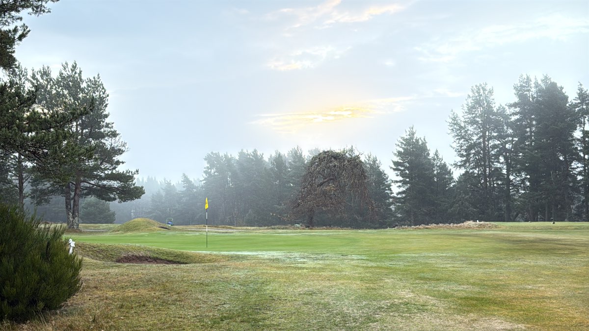 Grantown on Spey, Highlands, Another misty morning on Thursday this week....