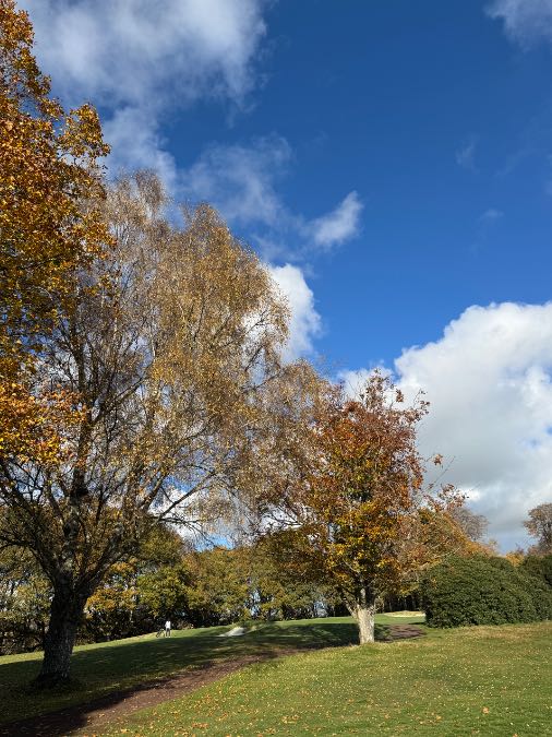 Midhurst, West Sussex, Truly magnificent late autumn weather near Midhurst ...