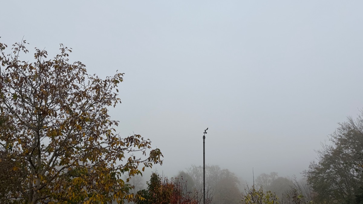 Henley on Thames, Oxon, Foggy ...