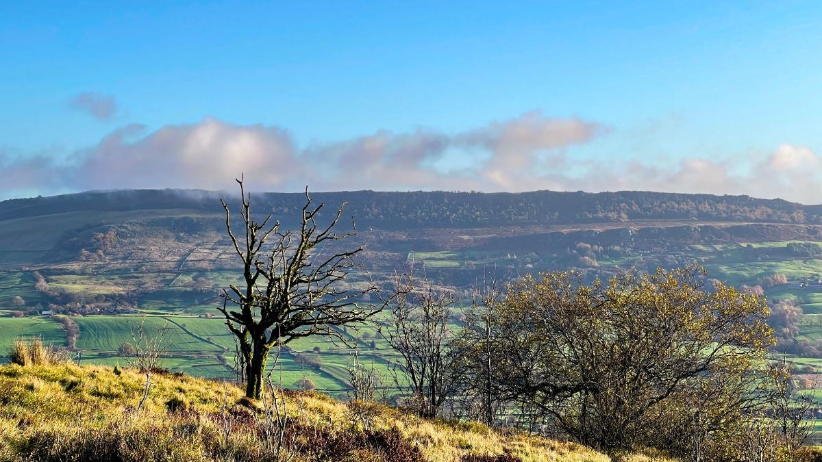Leek, Staffordshire, Nice morning on gun moor....