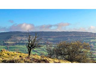 Wet and windy in the north west