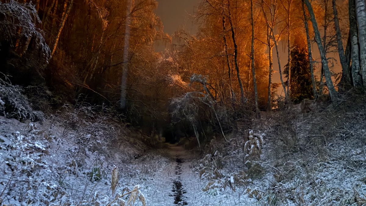 Grantown on Spey, Highlands, Slight covering of wet snow. ...