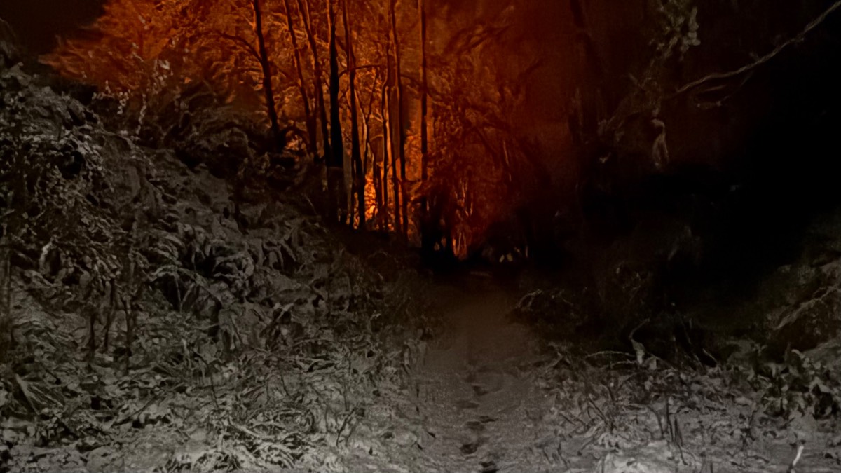 Grantown on Spey, Highlands, Old railway line tonight. ...