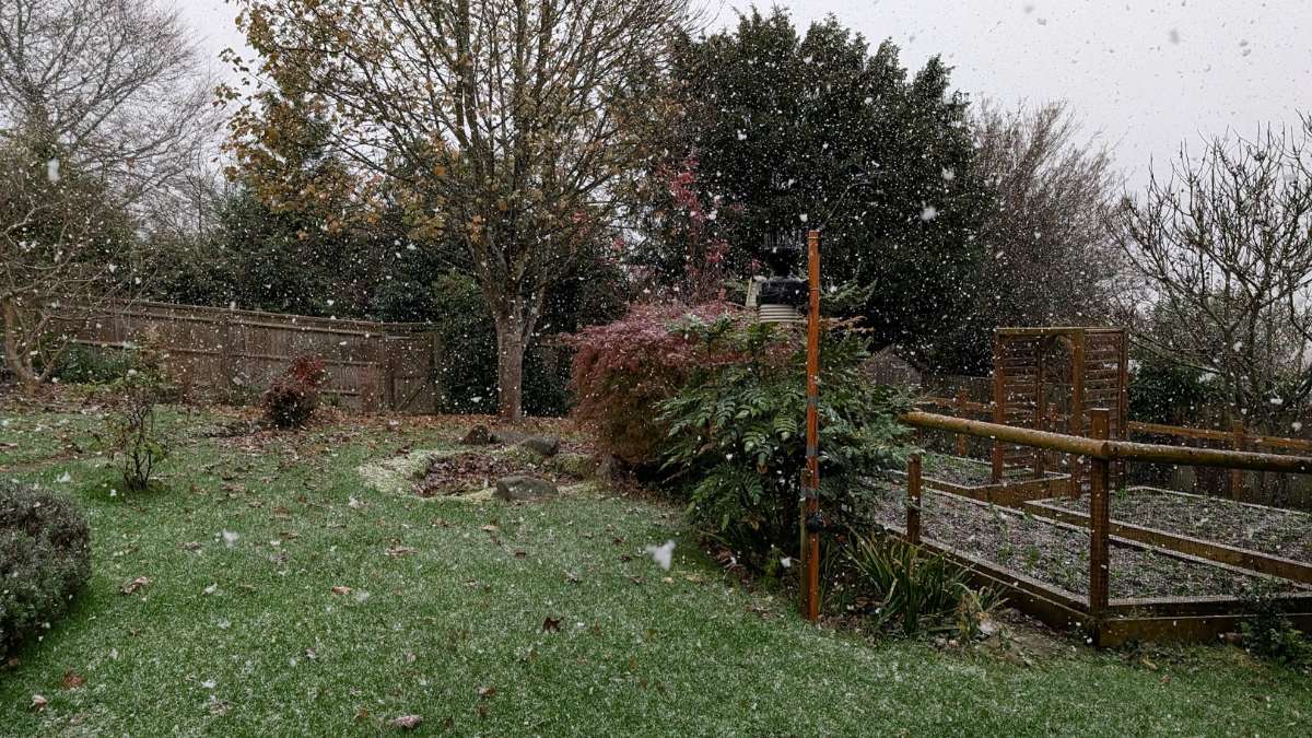 Berkhamsted, Herts, Let it snow!...