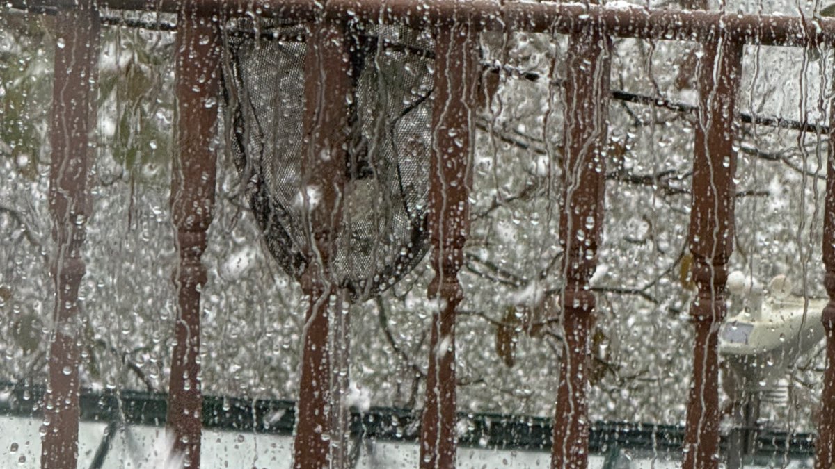 Henley on Thames, Oxon, Heavy snow now flakes over an inch plus lying ...