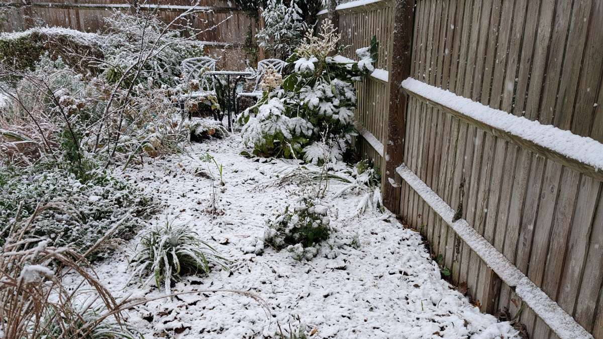 Berkhamsted, Herts, Snow starting to accumulate...