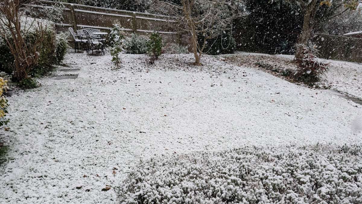 Berkhamsted, Herts, Autumn snow...