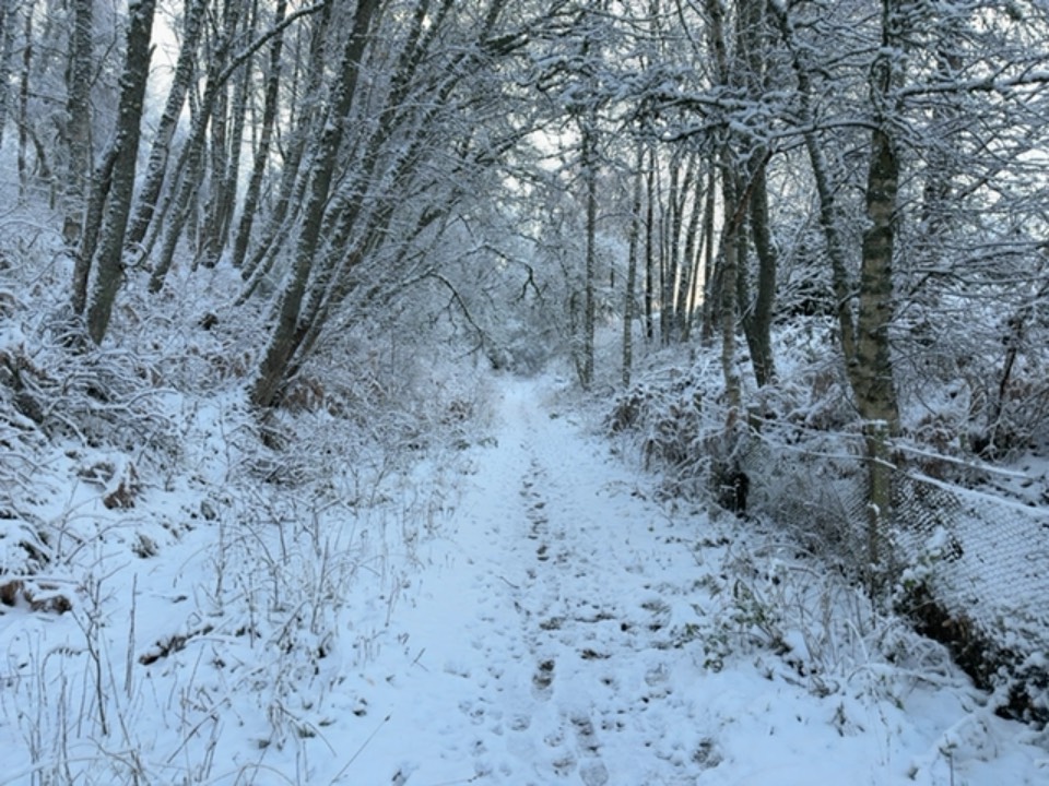 Grantown on Spey, Highlands, Snow on the old railway line....