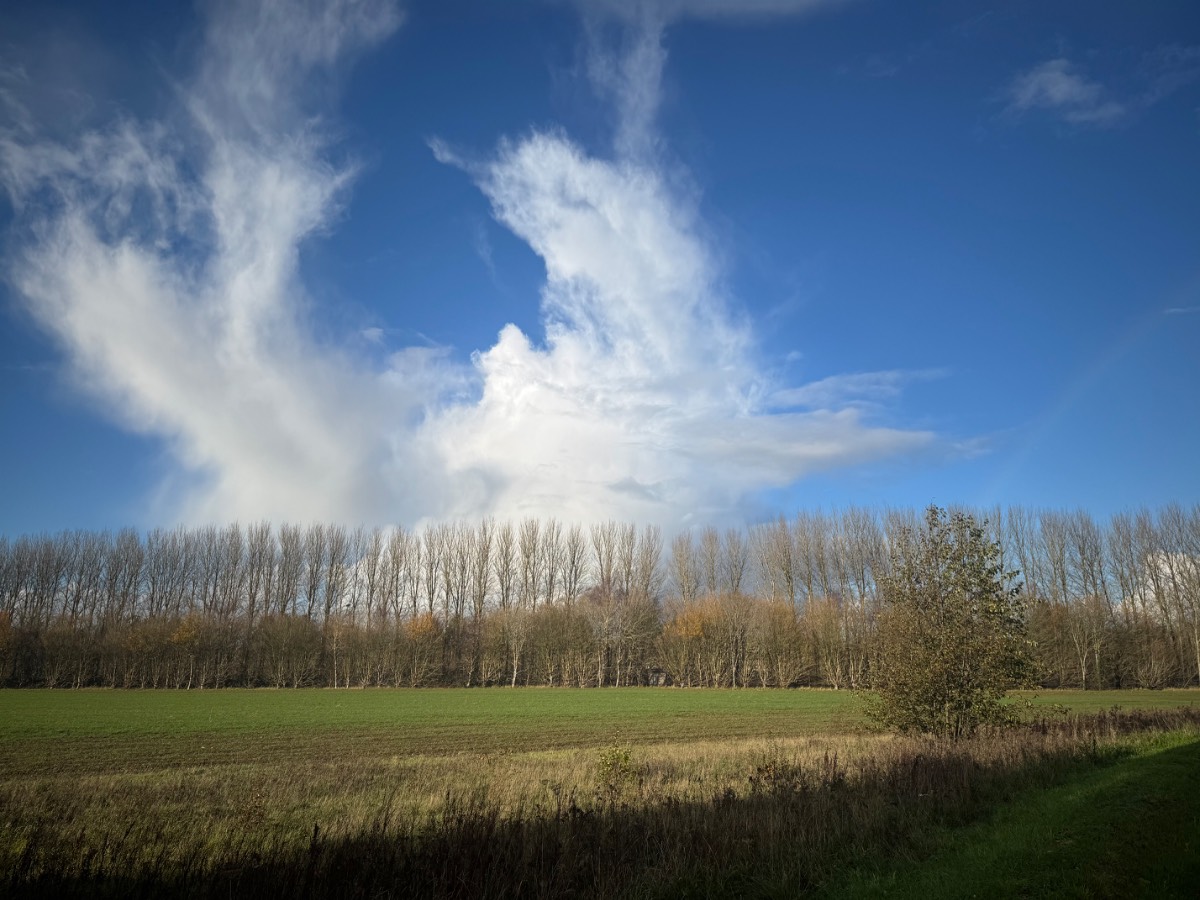 Arundel, , Heavy Cumuliform cloud and a faint rainbow near Arundel...