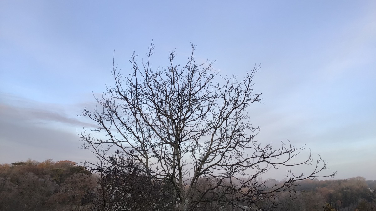 Henley on Thames, , Very cold moderate frost -4c...
