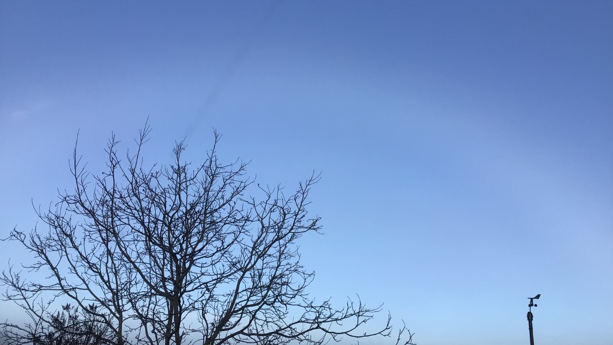 Henley on Thames, Oxon, Foggy frosty start -2c slight fog bow ...